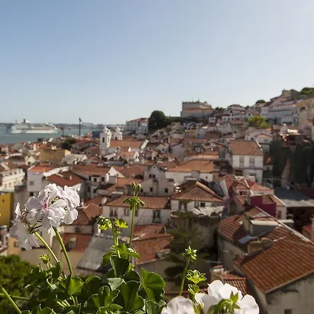 Alfama - St Estevao Viewpoint | Cheese & Wine * リスボン